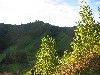 da ist wohl was schiefgegangen :-)